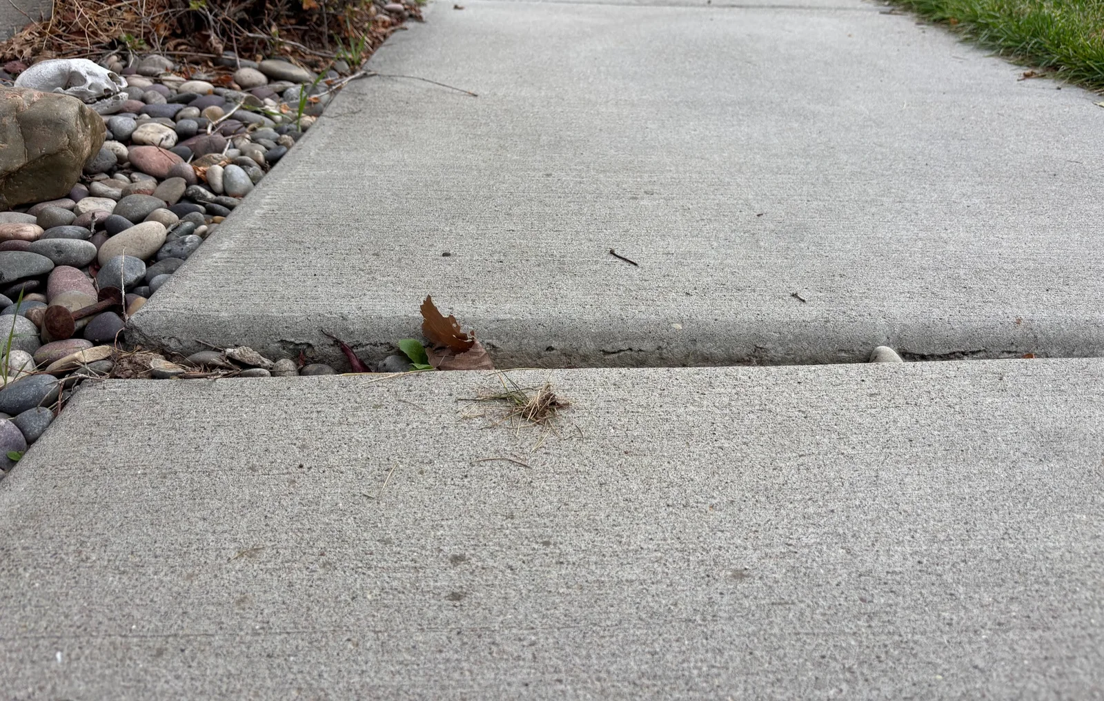 Settled sidewalk panel beside a landscaped residential walkway